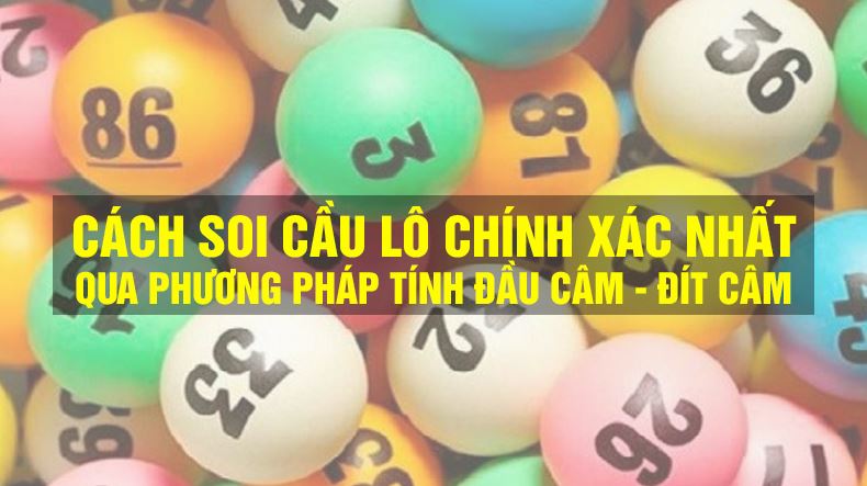 Lo de dam cam la nhu the nao hinh anh 1